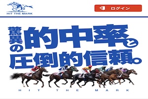 ヒットザマーク画像