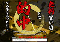 maisyukaime1
