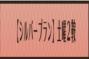 シルバープラン