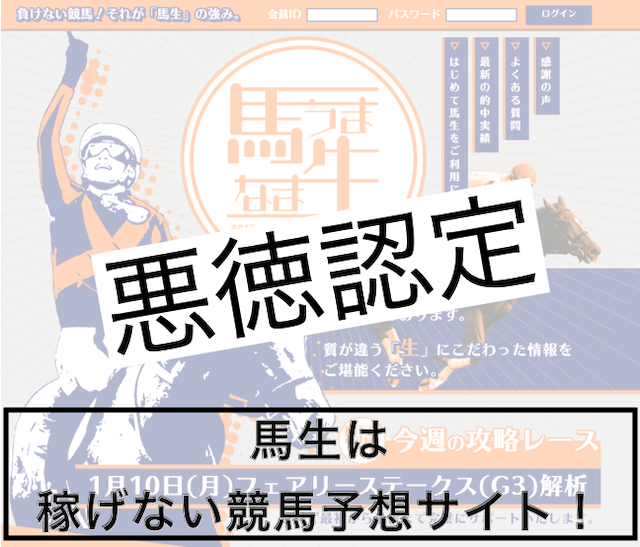 馬生検証まとめ