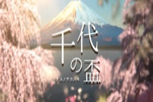 千代の盃