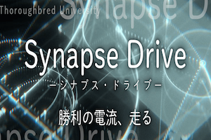 Synapse Drive