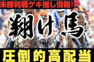 【中央】翔け馬