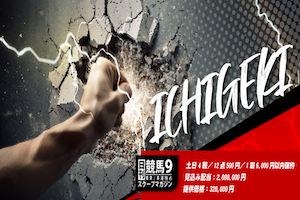 ICHIGEKI