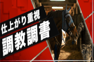 仕上がり重視 調教調書