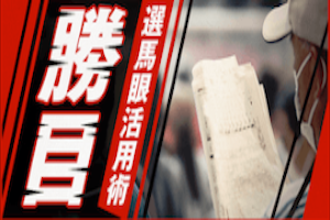 選馬眼活用術「勝目」