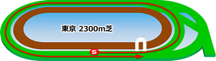 東京競馬場　芝2300
