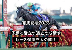 【2023年最新】有馬記念の予想に役立つ過去の成績やレース傾向を大公開！画像