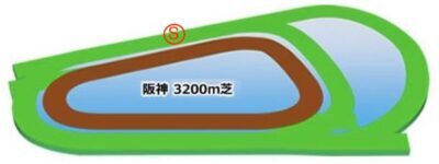 阪神競馬場　芝3200m