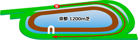京都競馬場　芝1200m
