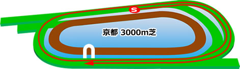 京都競馬場　芝3000m