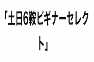 土日6鞍ビギナーセレクト