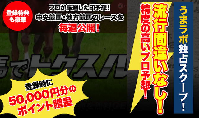 トクスル画像