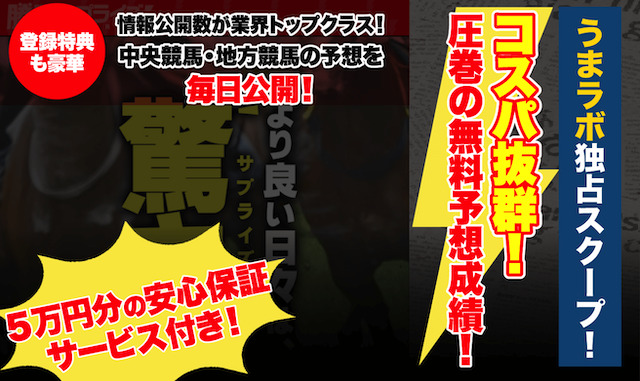 勝馬サプライズ画像