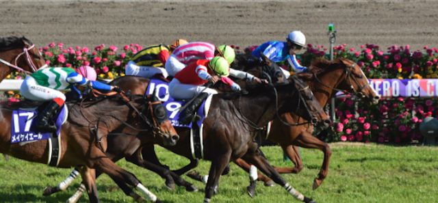 競馬の枠順の決め方を解説！