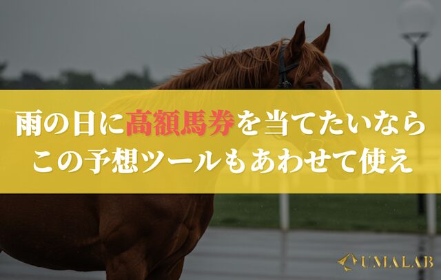 雨ん日に馬券を買うならこれを見ろ