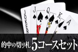 的中の切り札/5コースフルセット