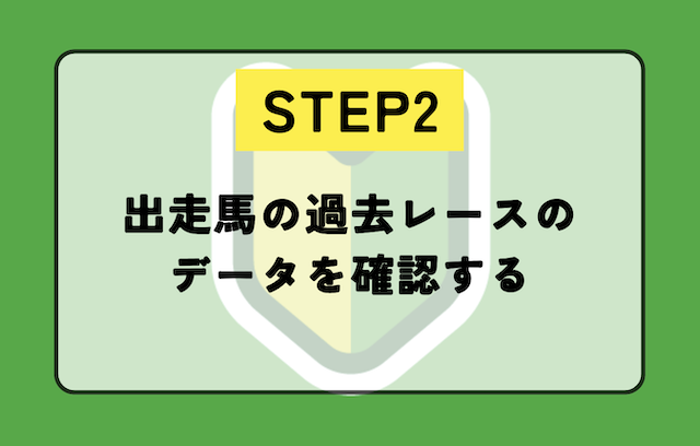 ステップ2：出走馬の過去レースのデータを確認する