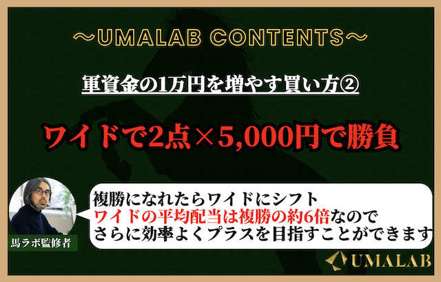 競馬で1万円を増やす買い方②：ワイドで2点×5,000円で勝負