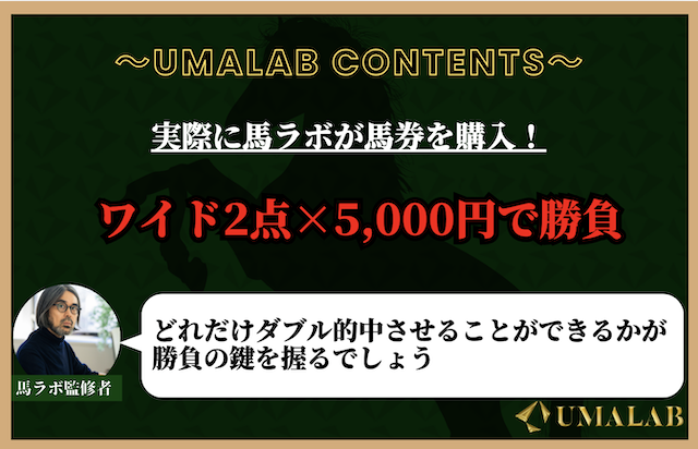 ワイドで2点×5,000円で勝負した結果