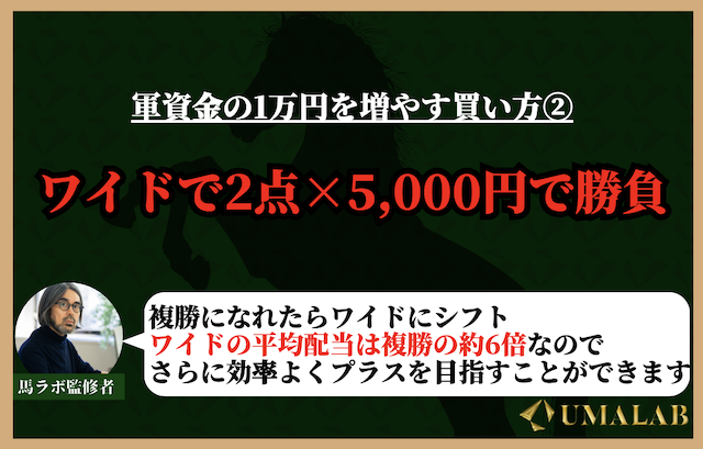 競馬で1万円を増やす買い方②：ワイドで2点×5,000円で勝負