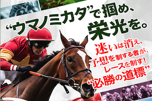 ウマノミカタという競馬予想サイトの口コミ・無料予想・有料予想をガチ検証！