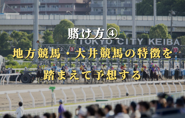 【中級者】地方競馬・大井競馬の特徴を踏まえて予想する