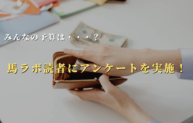 東京大賞典における馬券代の予算は？読者にアンケートを実施！