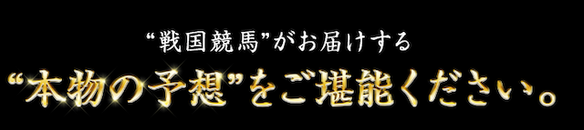 戦国競馬の特徴2