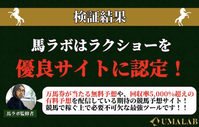 ラクショーに対する馬ラボの総評