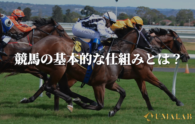 競馬の基本的な仕組みについて