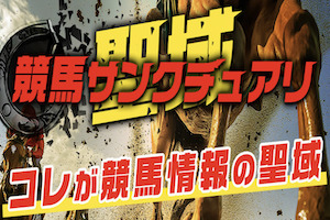 競馬サンクチュアリ画像