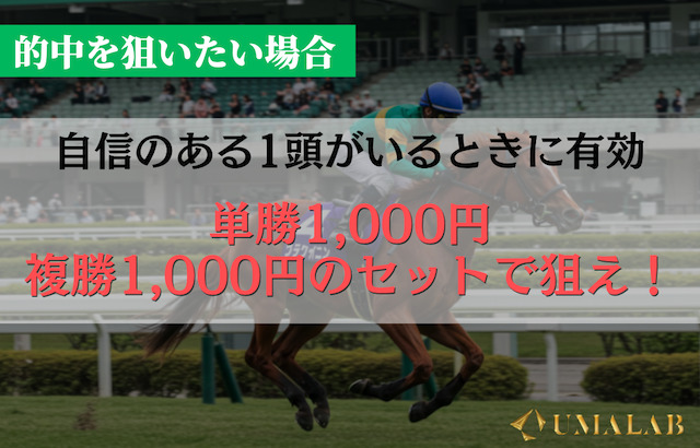 パターン①：自信のある1頭がいるとき