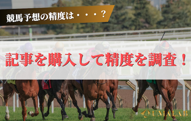 記事を購入して精度を調査