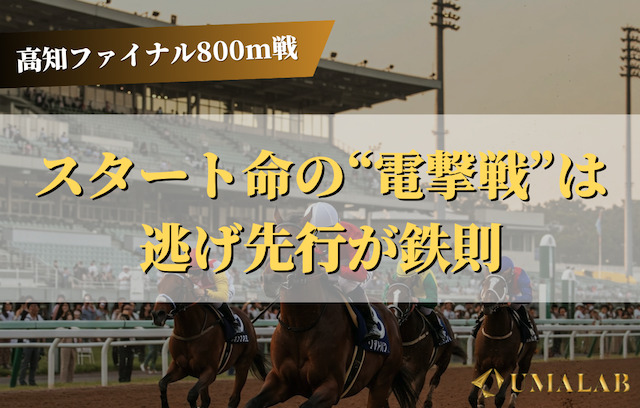 800m戦 × 馬場状態別の狙い方