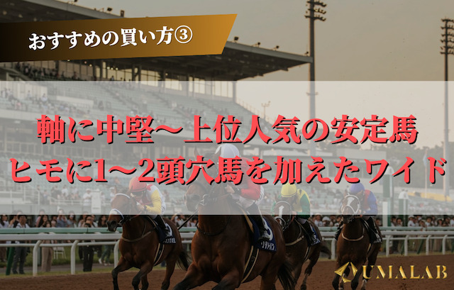 高知ファイナルのおすすめの買い方③：ワイドで穴馬を拾って安全に回収