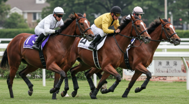 競走馬