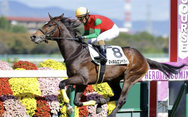 マイネルエンペラー
