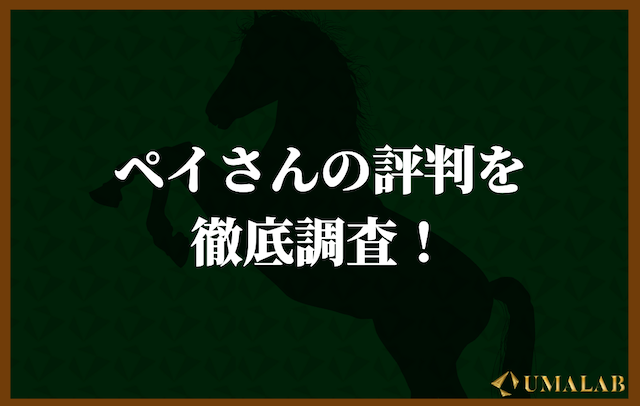 「ペイさん」の評判を徹底調査！
