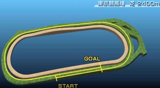 東京芝2,400m