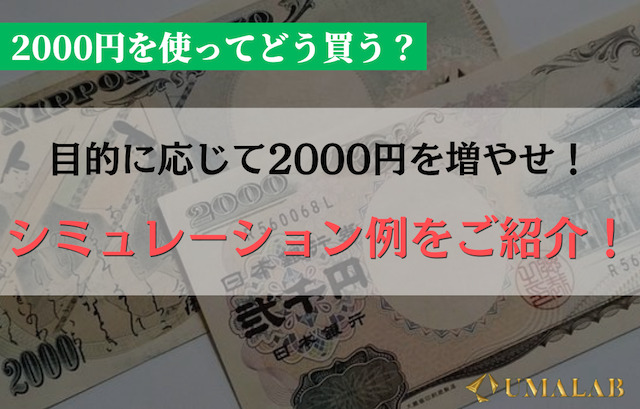 実践寄りのシミュレーション例！2000円で実際にどう買う？