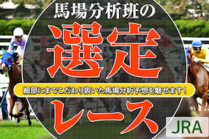 馬場分析班の選定レース