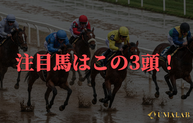 注目馬はこの3頭！重馬場で光る条件をクリアした馬