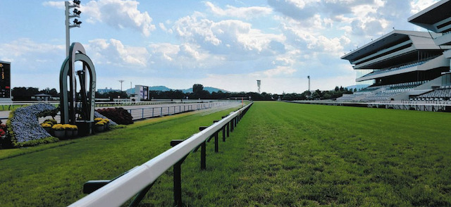 京都競馬場