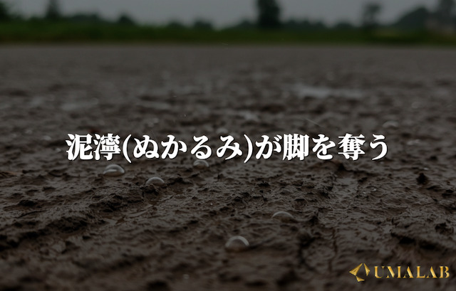 傾向②：泥濘(ぬかるみ)が脚を奪う