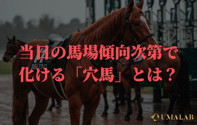 当日の馬場傾向次第で化ける穴馬とは？