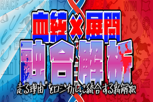 血統×展開融合解析