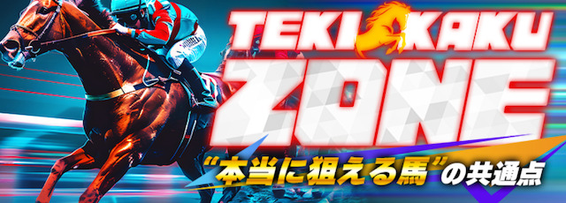 TEKIKAKUZONE