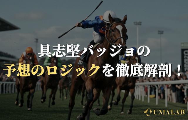 具志堅バッジョの予想ロジックの仕組みを徹底分析！