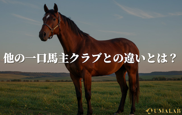 他の一口馬主クラブとの違いとは？